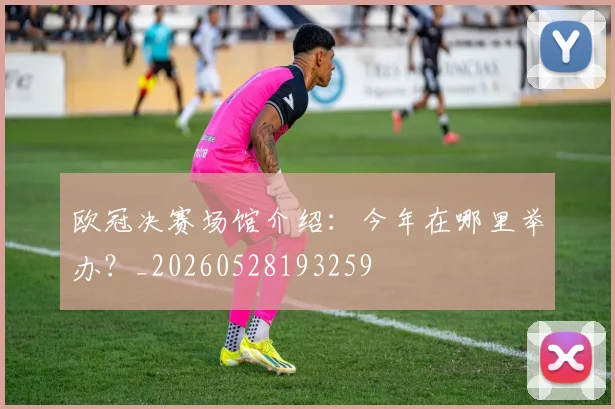 欧冠决赛场馆介绍：今年在哪里举办？_20260528193259