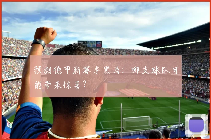 预测德甲新赛季黑马：哪支球队可能带来惊喜？