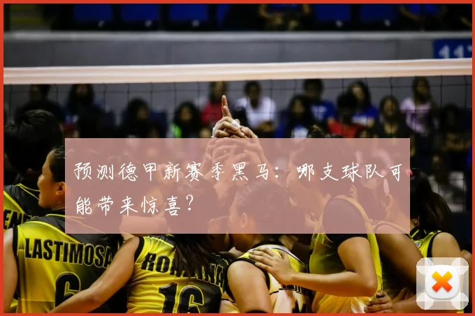 预测德甲新赛季黑马:哪支球队可能带来惊喜?